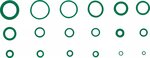 Bgs Technic O-ring-assortiment HNBR diameter 3 - 22 mm 225-dlg