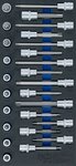 Bgs Technic Gereedschapmodule 1/3: dopsleutelbitset T-profiel (voor Torx) 26-dlg