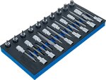 Bgs Technic Gereedschapmodule 1/3: dopsleutelbitset T-profiel (voor Torx) 26-dlg