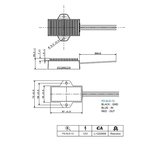 LED light processor 12V