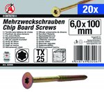 Multischroeven T-profiel (voor Torx) T25 6,0 x 100 mm 20 stuks