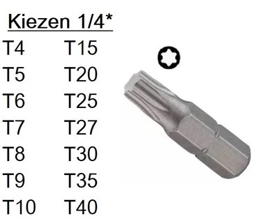 Torx bit 1/4 T4-T40