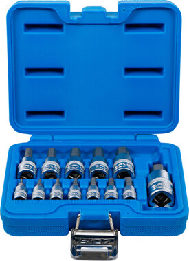 Dopsleutelbitset (1/4) / (3/8) / (1/2) binnenzeskant 2 - 14 mm 13-dlg