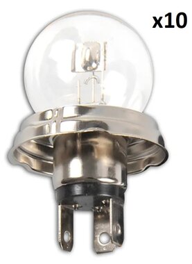 Autolamp 12V 45/40W P45t in doosje