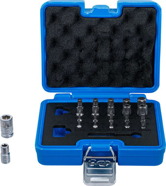 Bitset TS-profiel (voor Torx Plus) 23-dlg