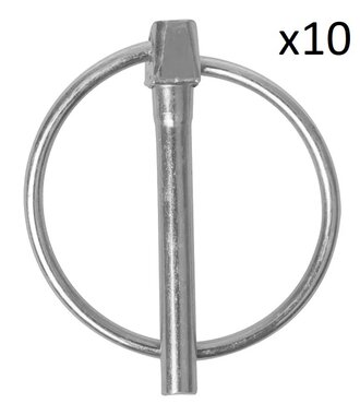 Borgpen 6mm met ring x10 stuks