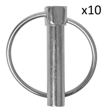 Borgpen 10mm met ring x10 stuks