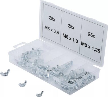 Bgs Technic Assortiment vleugelmoeren 75-dlg