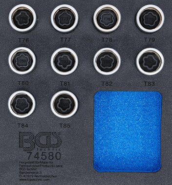 Velgenslot demontageset voor Tesla 10-dlg