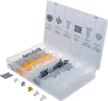 Bgs Technic Assortiment, bekledings clips voor Renault, 300-delig