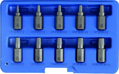 Bgs Technic 10 delige schroeven uitdraai set