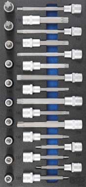 Bgs Technic Tool Tray 1/3: Bit Socket Set 12.5 mm (1/2) T-Star (for Torx) 26 delig